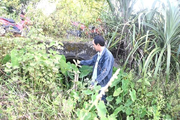 Thiếu kênh tiêu úng, sản xuất ở vùng cát thôn Đông Dương gặp khó khăn