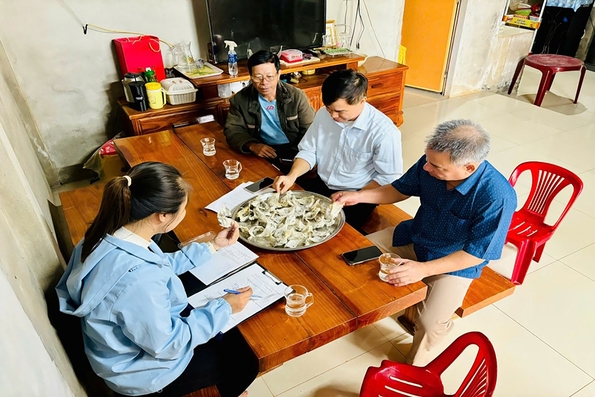 Tăng cường quản lý các cơ sở nuôi chim yến