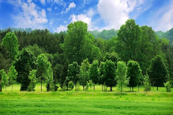Tổ chức WWF tài trợ hơn 114,8 tỉ đồng thực hiện các giải pháp thuận thiên trong lĩnh vực lâm nghiệp và môi trường