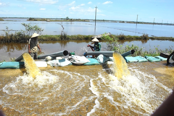 Trắng đêm tiêu úng gieo “vụ mới”