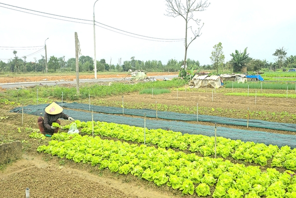 Cần “tiếp sức” cho các tổ hợp tác phát triển