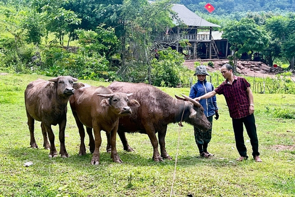 Hơn 8.400 người dân được vay vốn phát triển kinh tế