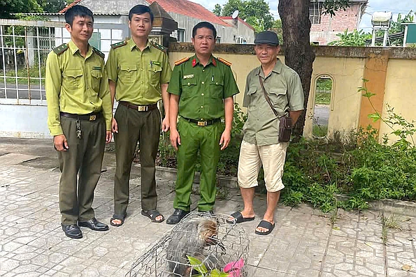 Tiếp nhận cá thể khỉ mặt đỏ quý hiếm do người dân tự nguyện giao nộp