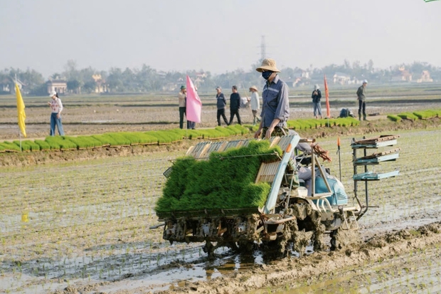 Nhiều đột phá để thu được hiệu quả cao trong lĩnh vực nông nghiệp