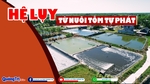 Hệ lụy từ nuôi tôm tự phát