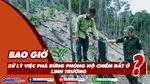Bao giờ xử lý việc phá rừng phòng hộ chiếm đất ở Linh Trường?