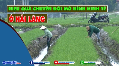 Hiệu quả chuyển đổi mô hình kinh tế ở Hải Lăng